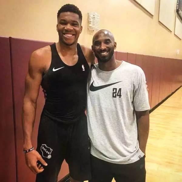 世界杯夺冠 世界杯夺冠